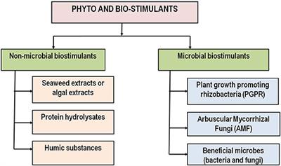 Prospects for Abiotic Stress Tolerance in Crops Utilizing Phyto- and Bio-Stimulants
